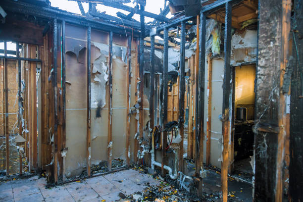 Professional Fire Damage Removal technician working in Firestone, CO